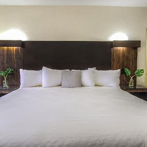 Zimmer mit Kingsize-Bett